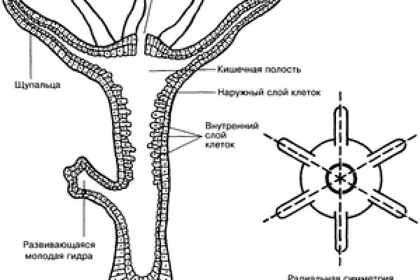 Кракен даркнет kraken014 com