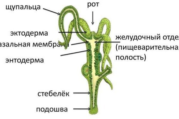 Кракен 2024 сайт